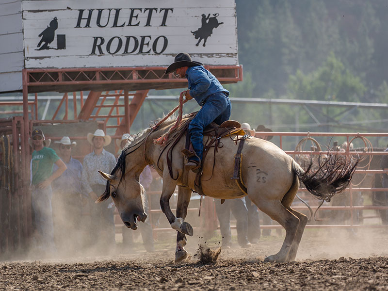 Hulett, Wyoming Rodeo Harold Hall PhotographyHarold Hall Photography